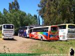 Unidades Etta Tour - Temuco