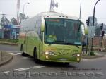 Irizar Century / Mercedes Benz OH-1628 / Tur-Bus