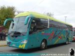 Unidades Volvo B290R - Scania K310 / Best Travel - Servicio Especial