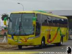 Busscar Vissta Buss LO / Mercedes Benz O-500R / Pullman Pulpica