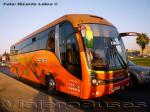 Maxibus Lince 3.45 / Mercedes Benz OH-1628 / Turismo San Bartolome