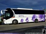 Yutong ZK6107HA / Pullman Norte Sur