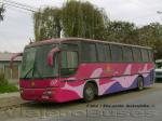 Marcopolo Andare / Volvo B7R / Turismo del Huasco