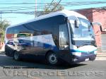 Bonluck JXK 6850 / Buses Bustamante