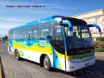 Zhong Tong Catch / Bus Service