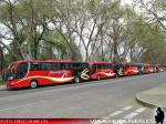 Flota de Buses Jimenez Hnos.