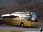 Higer / Buses Villar