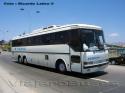 Monobloco O-371RSD / Buses Fepstur (Servicio Especial)