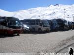Flota de Buses Varias Empresas Turismo