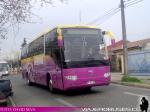 Higer / Buses Villar