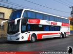 Metalsur Starbus 3 / Mercedes Benz O-500RSD / PAP
