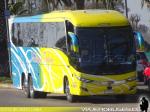 Marcopolo Paradiso New G7 1200 / Mercedes Benz O-500RSD / Pullman Pulpica