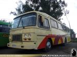 Marcopolo II / Mercedes Benz / Particular