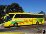 Marcopolo Viaggio G7 1050 / Volvo B380R / Buses German