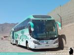 Mascarello Roma 370 / Volvo B420R / Nilahue