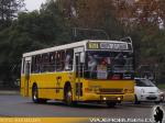 Marcopolo Torino / Volvo B10M / Linea 357 - Dia del Patrimonio - Santiago