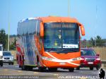 Irizar Century 3.90 / Mercedes Benz O-500RSD / Luna Express