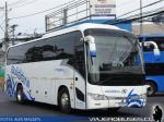 King Long XMQ6117Y / Buses Biaggini