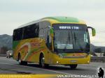 Neobus New Road N10 360 / Volvo B380R / Terma Tur