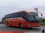 King Long XMQ6130Y / Pullman Bus