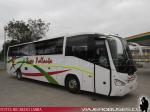 Irizar Century / Mercedes Benz / Buses Pallauta