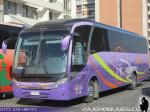 Neobus Road N10 360 / Mercedes Benz OF-1724 / Sotrul