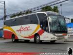 Neobus New Road N10 360 / Mercedes Benz OF-1724 / Asec