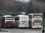 Unidades Mercedes Benz / Collbus - Angol IX Región