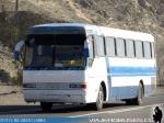 Mercedes Benz O-371RS / Particular