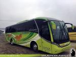 Neobus New Road N10 340 / Mercedes Benz OF-1724 / Kemel Bus