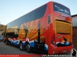 Modasa Zeus 3 / MAN 26.480 / Buses Cortes Flores