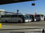 Unidades Irizar / Operaciones SCL