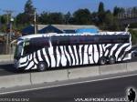 Irizar Century 3.90 / Mercedes Benz O-500RSD / Particular