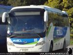 King Long XMQ6900 / Buses Arzola