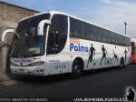 Marcopolo Viaggio 1050 / Scania K124IB / Flota Palma