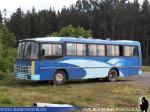 Nielson Diplomata 310 / Mercedes Benz OF-1115 / Particular