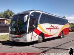 Neobus New Road N10 360 / Mercedes Benz OF-1724 / Asec