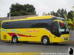 Zhong Tong Sparkling LCK6935H / Terma Tur