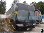 Comil Svelto / Mercedes Benz OF-1318 / Particular