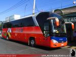 Yutong ZK6136 / Tandem