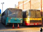 Nielson Diplomata 200 / Scania BR116 / Turbus