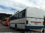 Flota de Buses Varias Empresas Particular