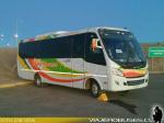 Caio Foz / Mercedes Benz LO-916 / Buses German