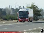 Neobus New Road N10 340 / Mercedes Benz OF-1724 / Buses Pehuen