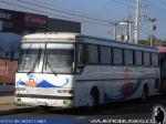 Mercedes Benz O-371RSL / Particular