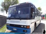 Busscar El Buss 320 / Mercedes Benz OF-1318 / Rural de Parral