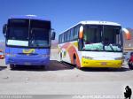 Unidades Mercedes Benz O-400RSE / Particular