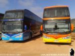 Modasa New Zeus II / Volvo B420R / Serena Mar