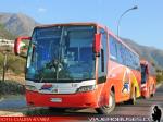 Unidades Mercedes Benz / Buses JM