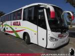 Irizar Century / Mercedes Benz / Aguila